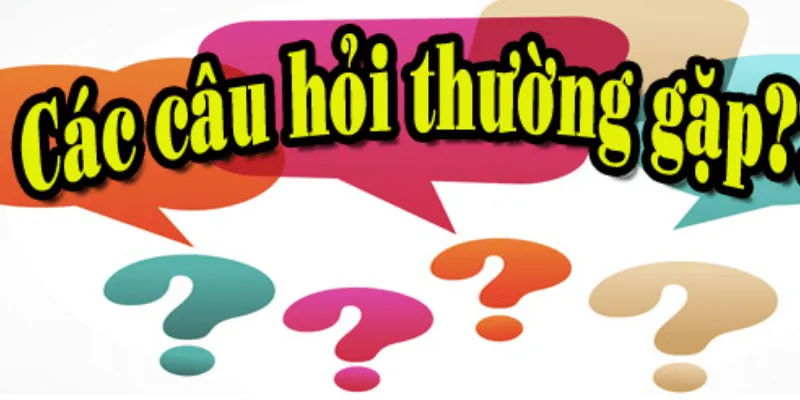Các câu hỏi thường gặp (FAQ)